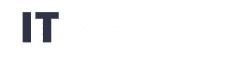 IT Workforce by MERAK Systems