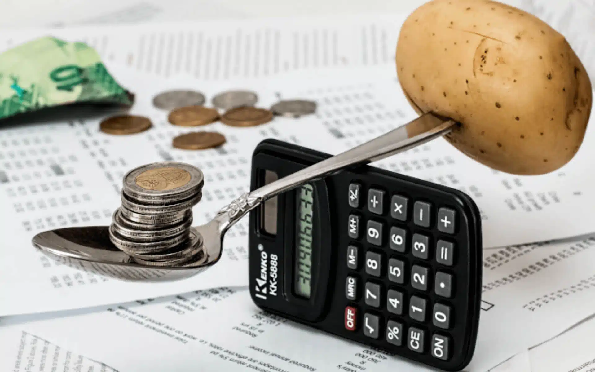 Technology Cost Savings Versus Technology Investment