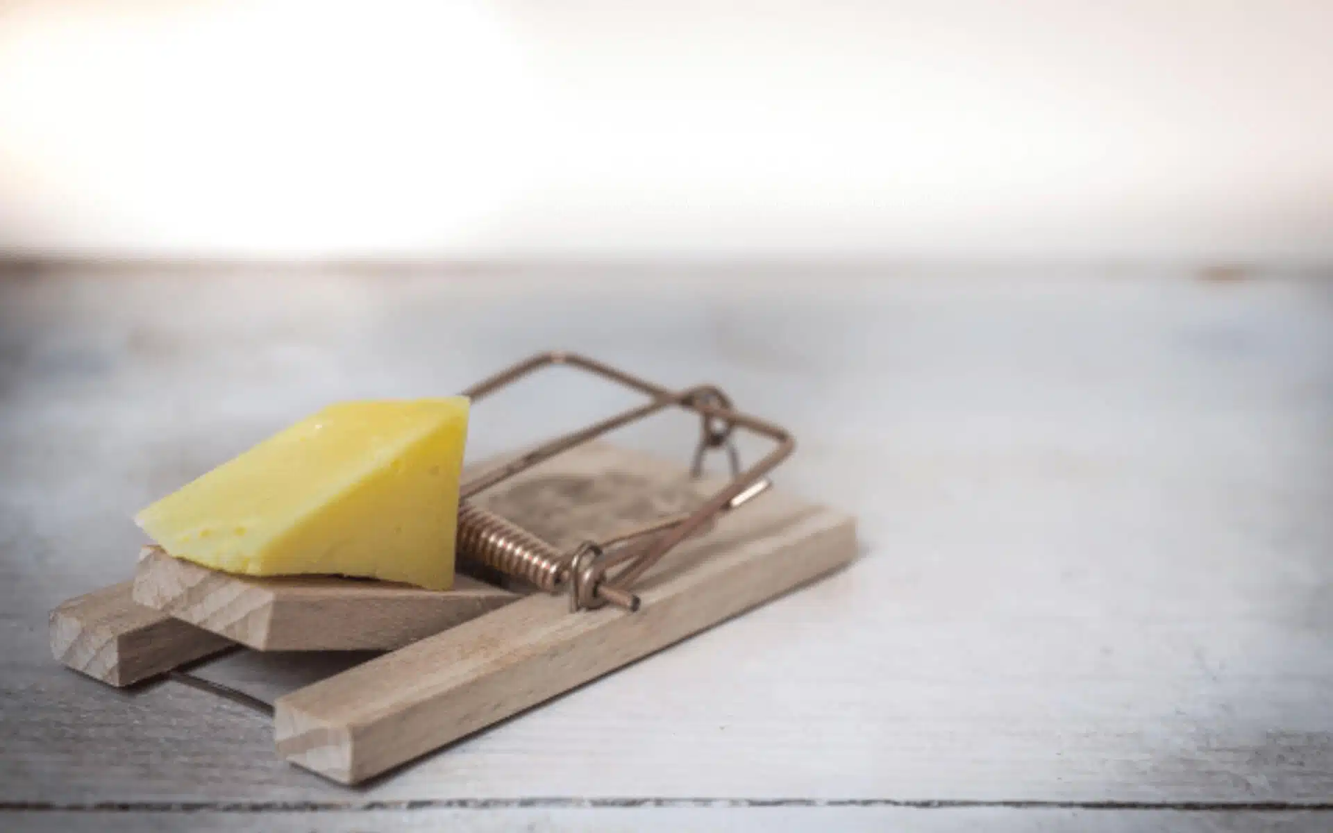 Software Maintenance and the Replacement Trap